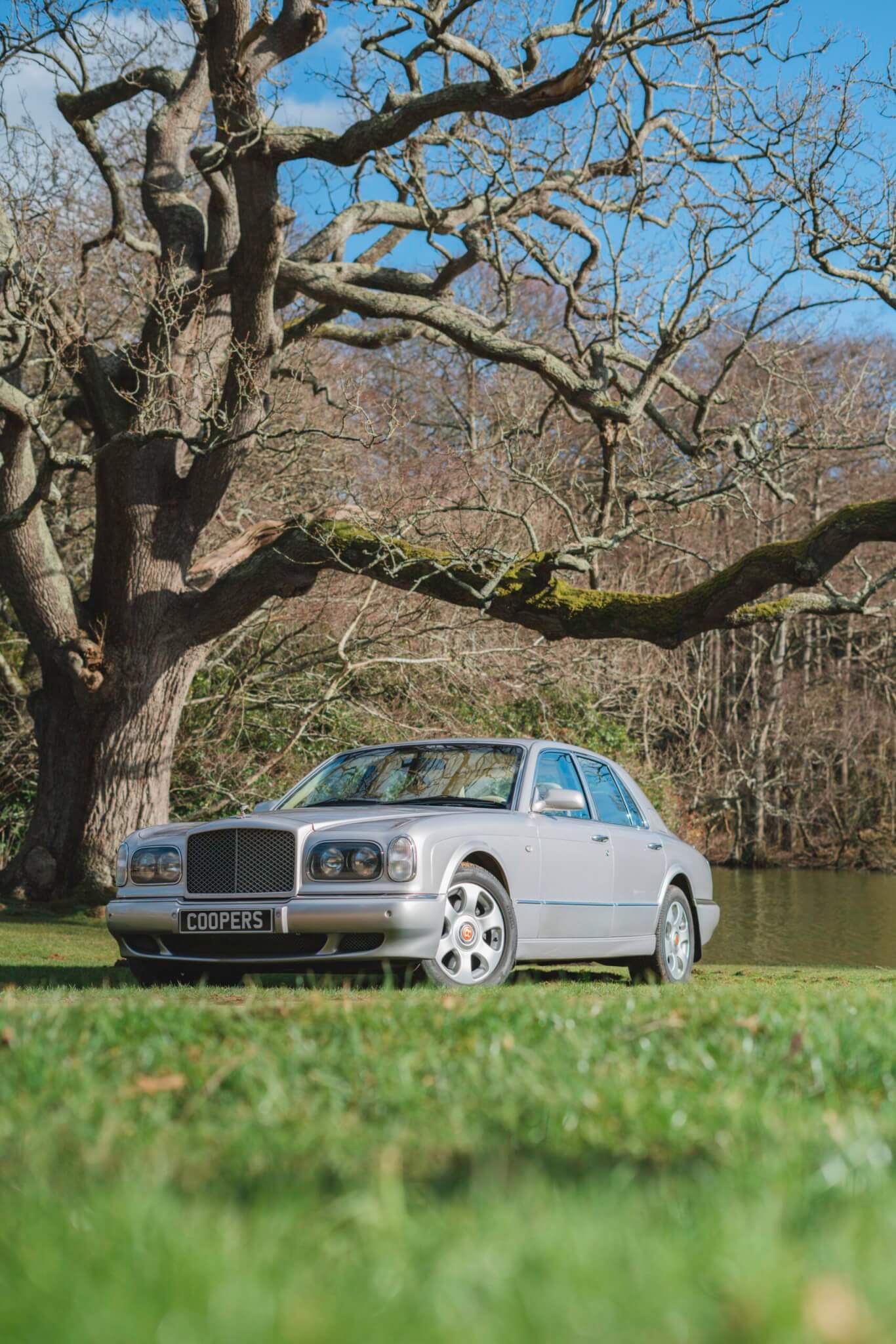 Bentley Arnage R in silver under tree