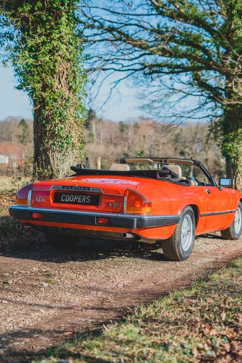 orange Jaguar rear view