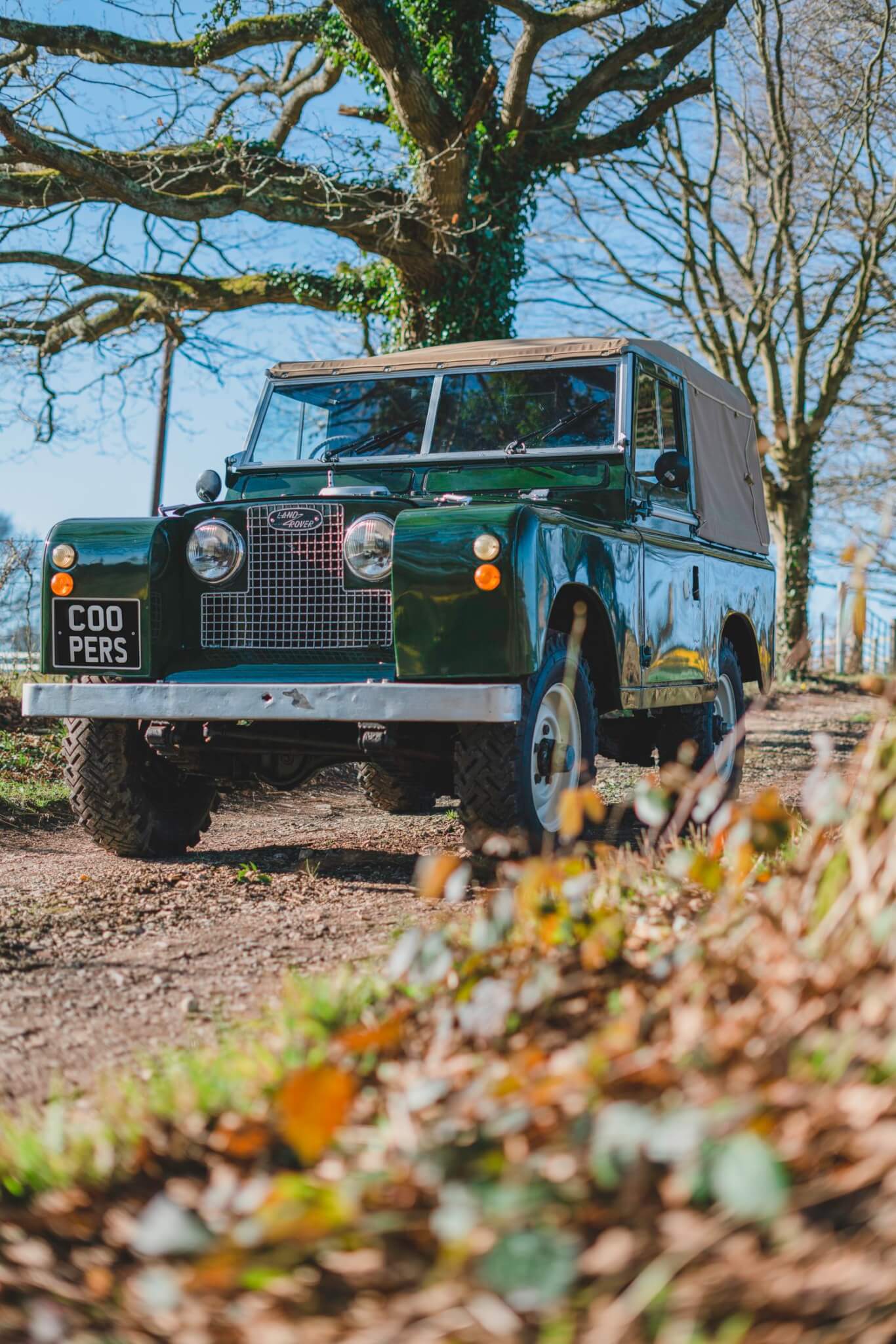 Land Rover Series 2 dark green under tree