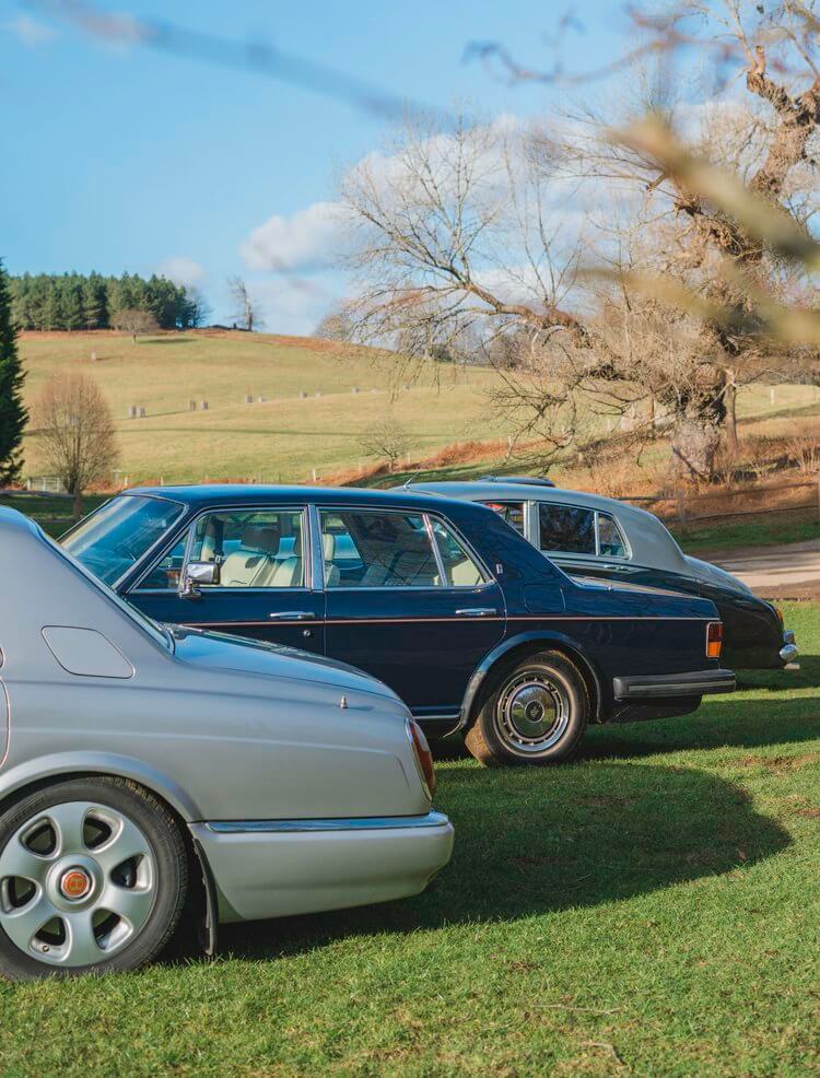 Coopers luxury cars on the grass