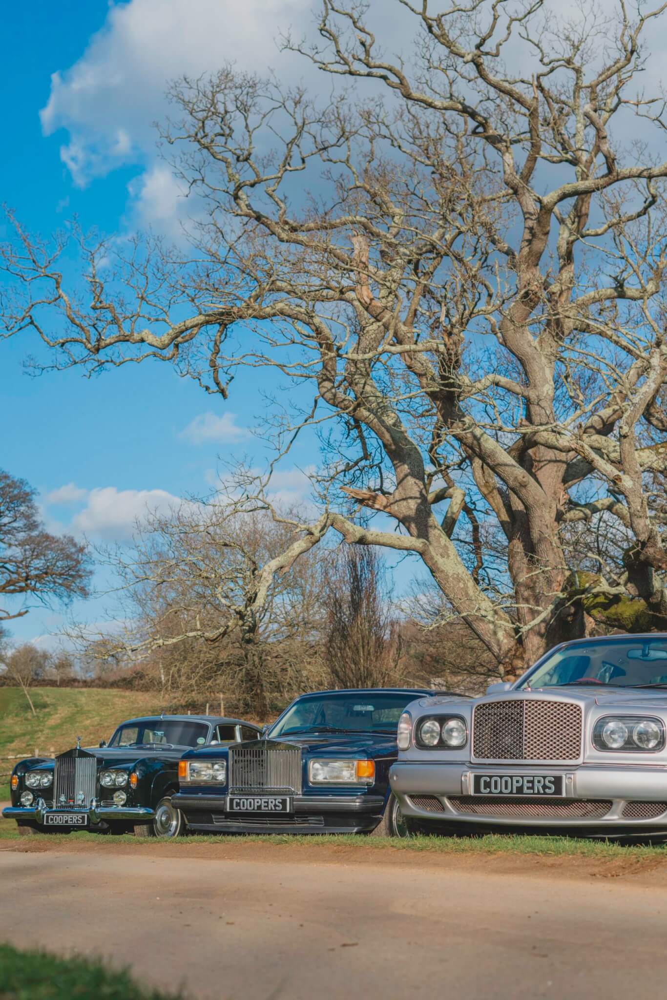 Fleet of cars parked up