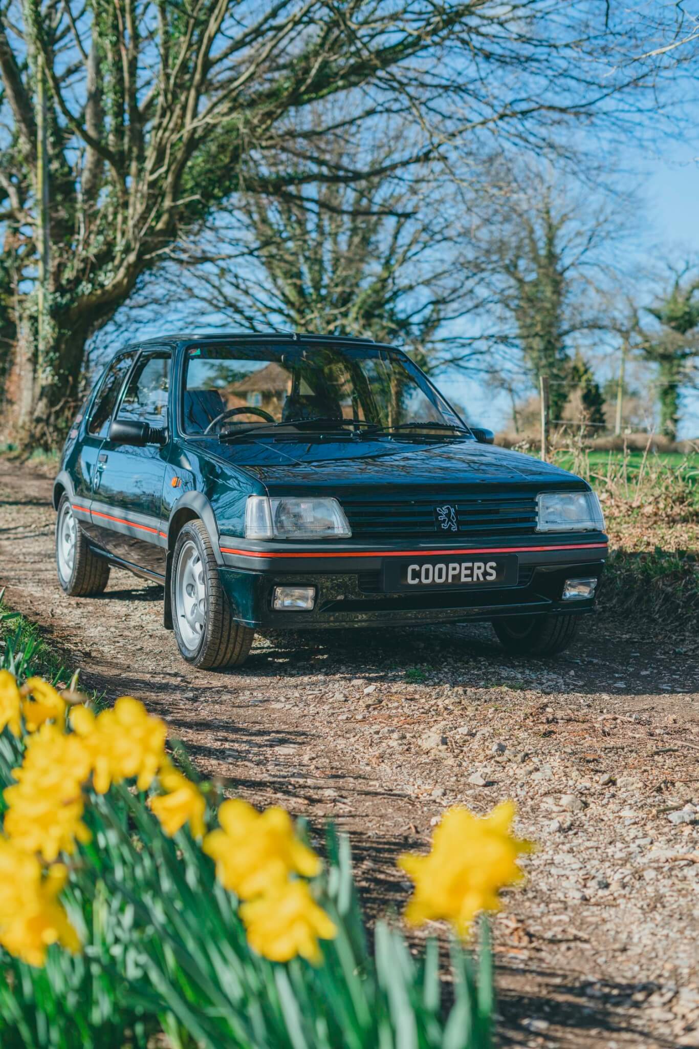 Peugeot 205 GTi 1.9 green