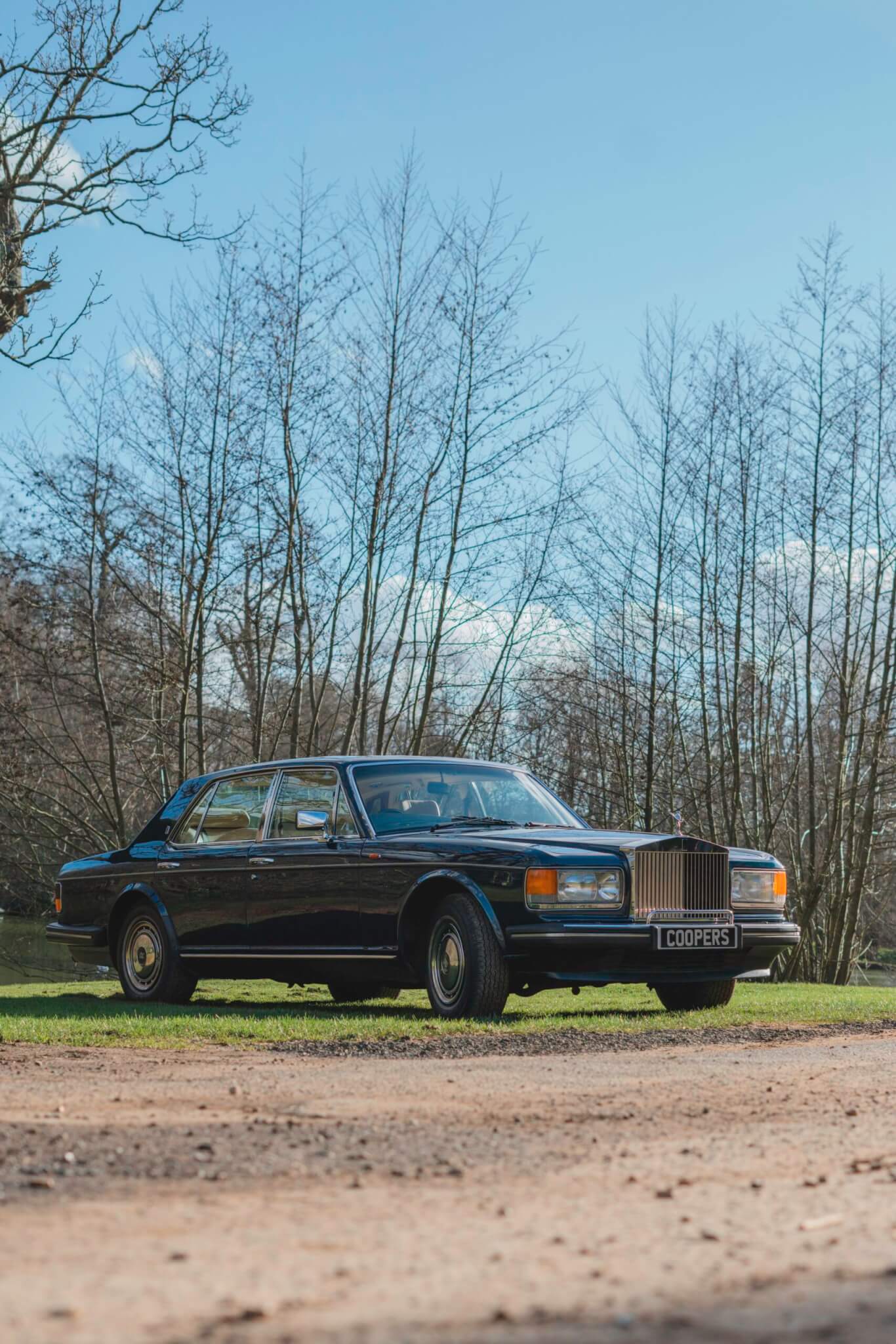 Dark Blue Rolls Royce on grass